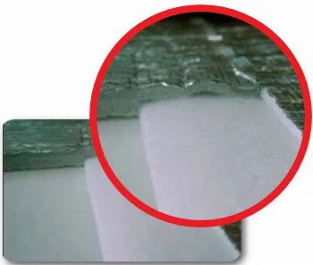 Prodex 10m Edge